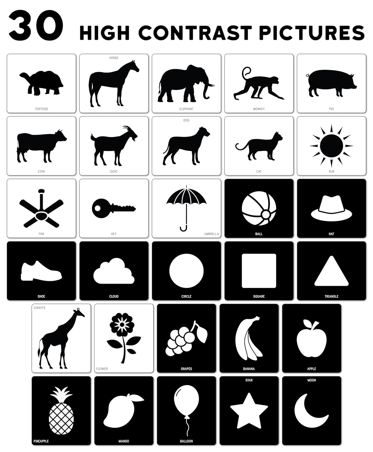 Baby Flash Cards