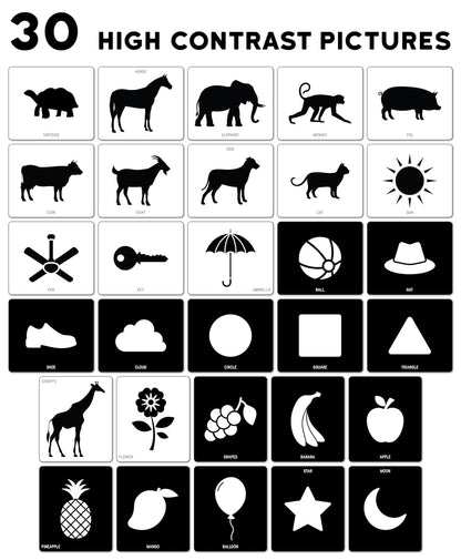 Baby Flash Cards