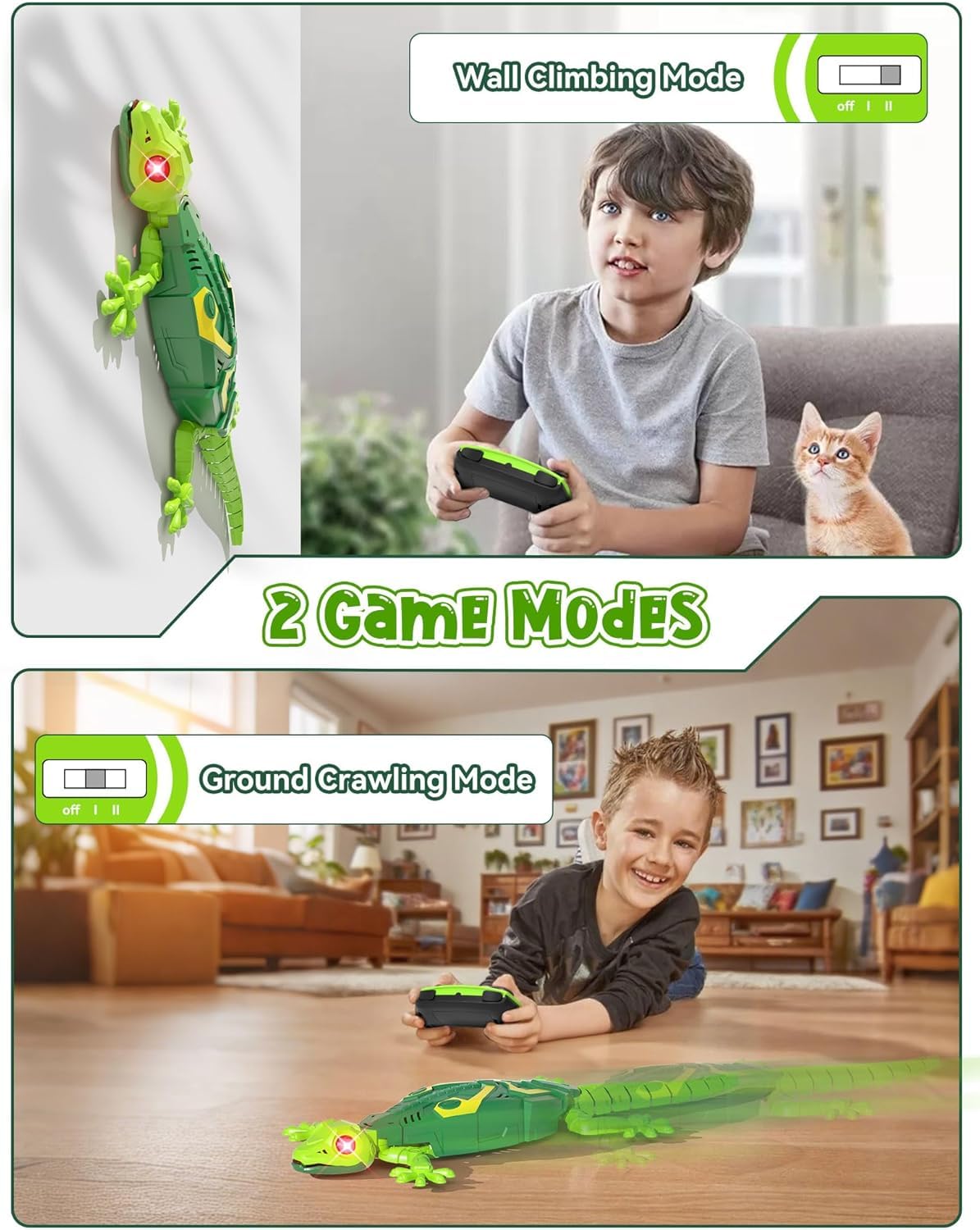 Geckos Telecontrol