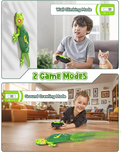 Geckos Telecontrol