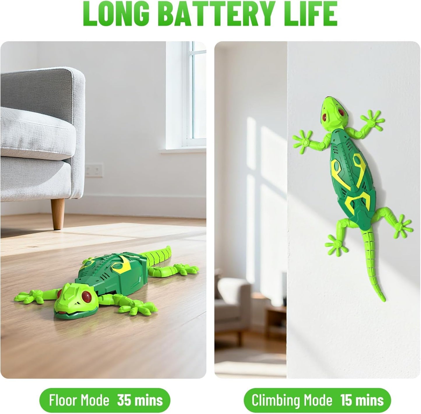 Geckos Telecontrol