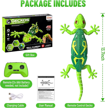 Geckos Telecontrol